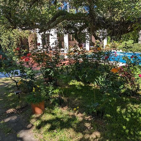 Hotel Casa Pura Vida Punta Ballena Zewnętrze zdjęcie