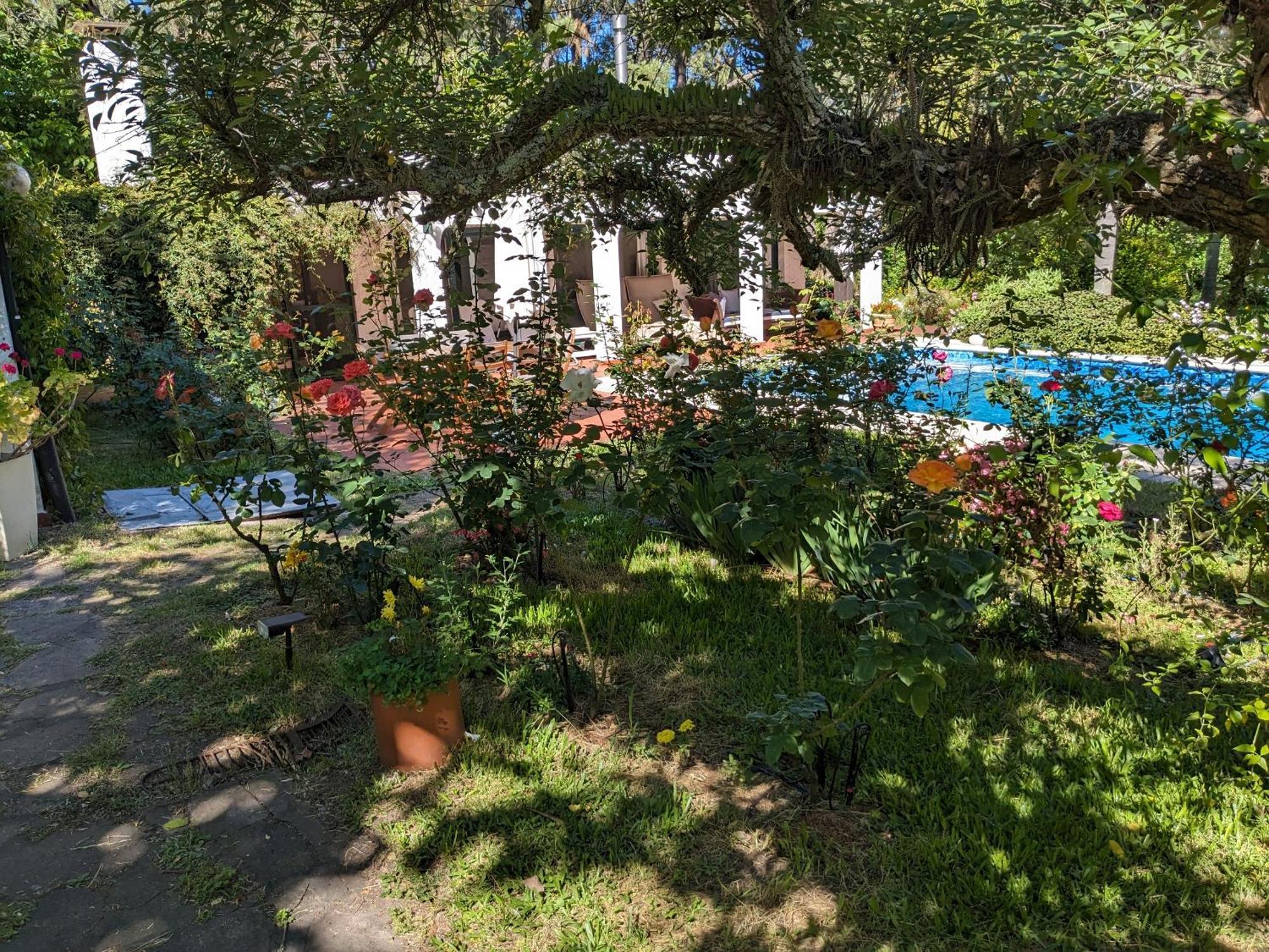 Hotel Casa Pura Vida Punta Ballena Zewnętrze zdjęcie